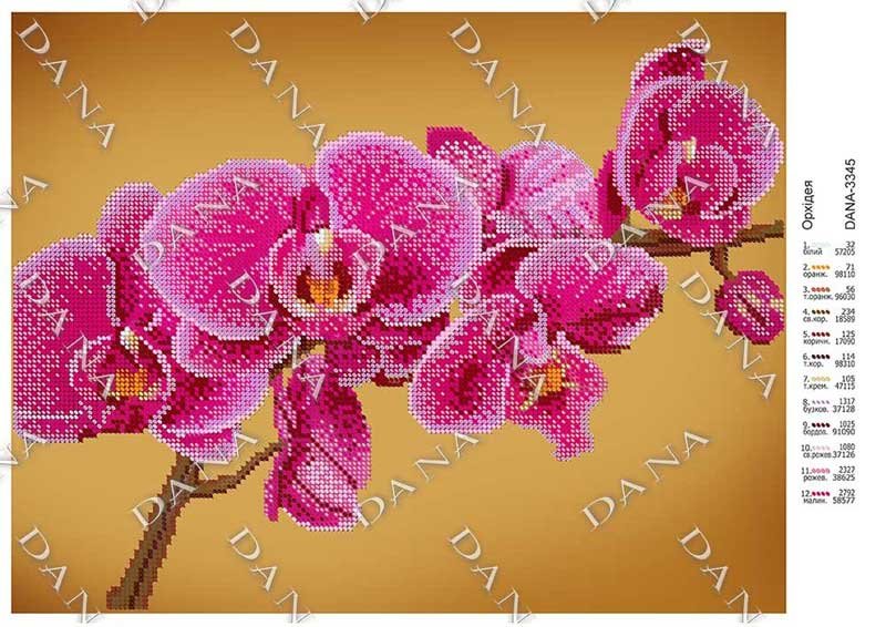 Фото Cхема для вышивки бисером  ДАНА-3345 Орхидея
