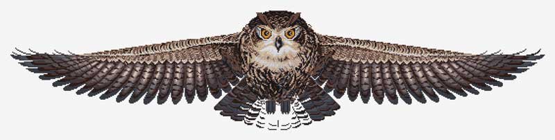 Foto Cross Stitch Kits Luca-S CD005 Owl (discontinued)