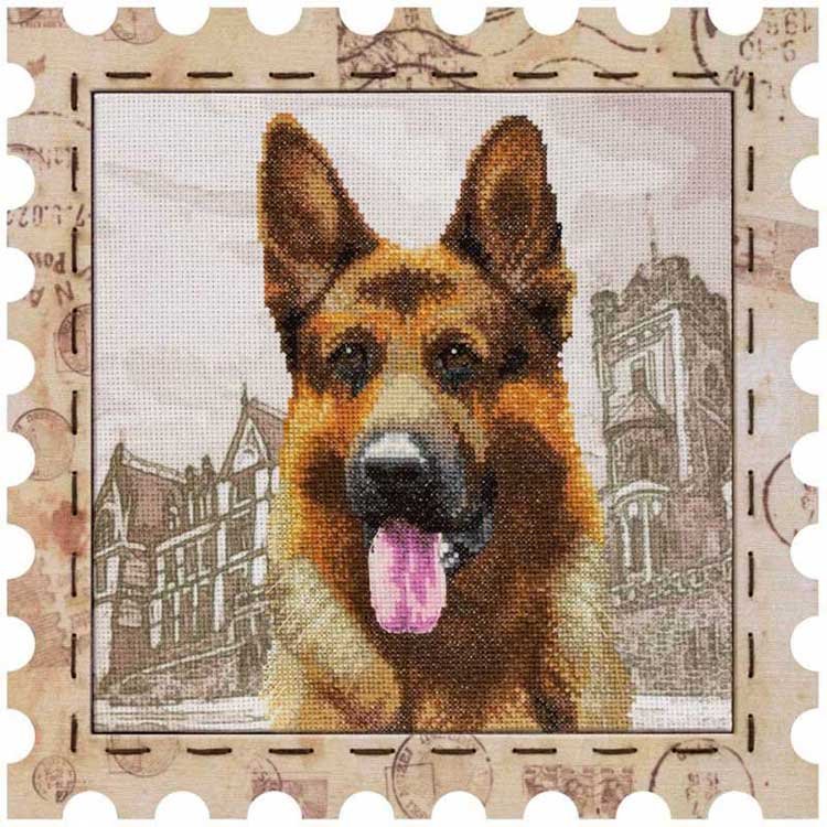 Photo Embroidery kit on canvas with a background image Nova Sloboda KO4020 Sheepdog