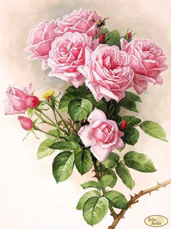 Фото Cхема для вишивки бісером Тела Артис ТК-073 Англійські троянди